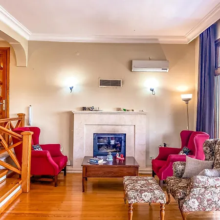 Villa Havuzlu Mustakil Luex Doga 150 Mt2 Sapanca