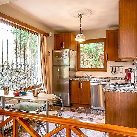 Villa Havuzlu Mustakil Luex Doga 150 Mt2 Sapanca