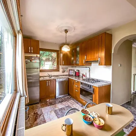 Villa Havuzlu Mustakil Luex Doga 150 Mt2 Sapanca