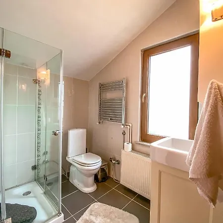 Havuzlu Mustakil Luex Doga 150 Mt2 * Sapanca